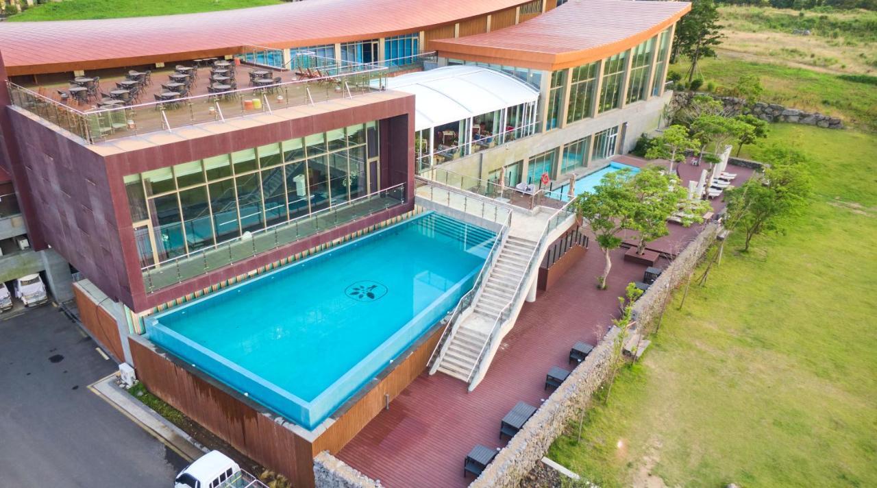 Camphortree Hotel And Resort Jeju Exterior photo