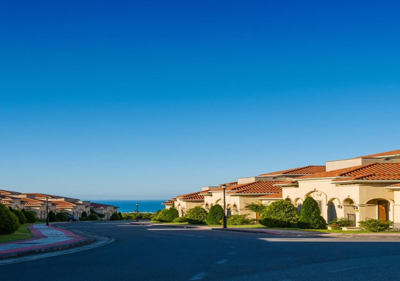Camphortree Hotel And Resort Jeju Exterior photo